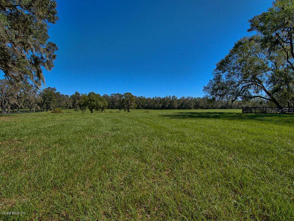 Reddick, FL 32686,TBD NW Highway 225