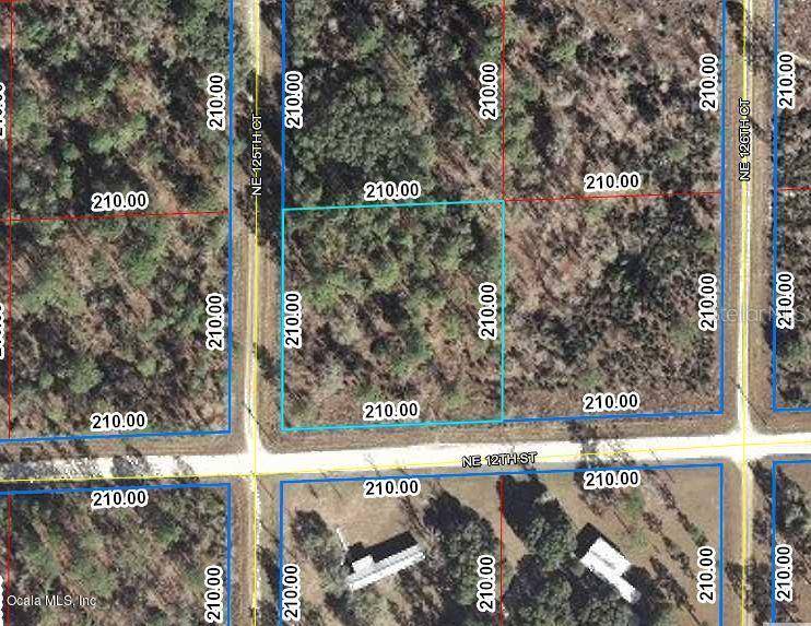 Williston, FL 32696,000 NE 12th ST