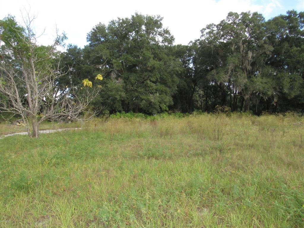 Citra, FL 32113,17090 N US Hwy 301