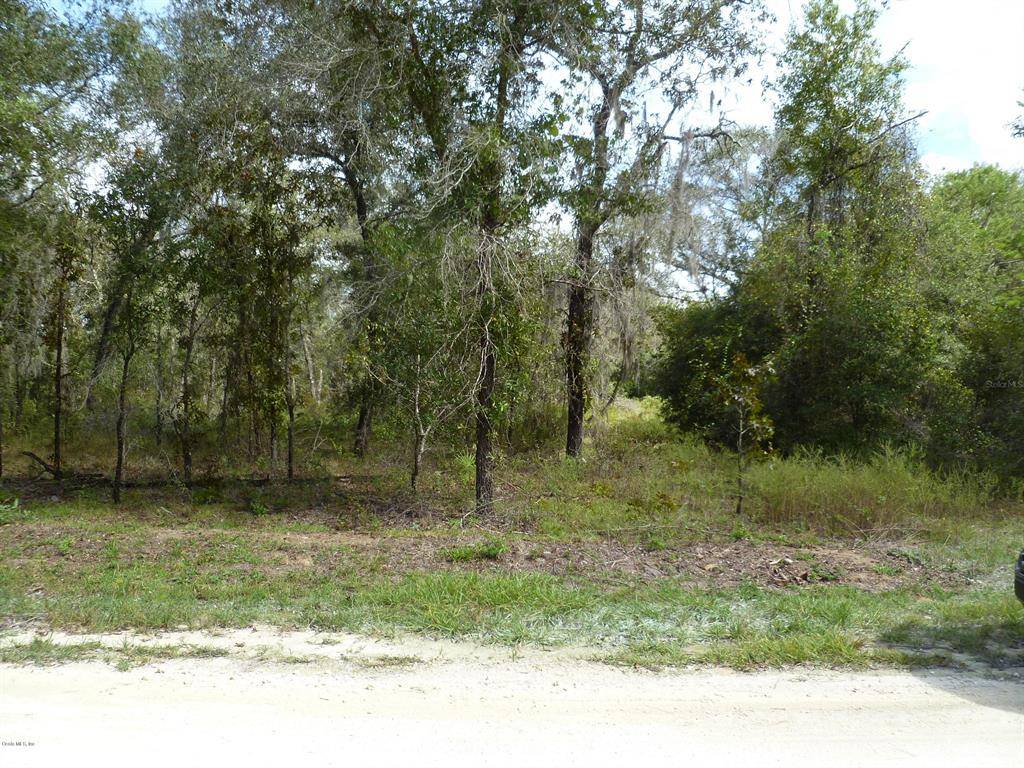 Archer, FL 32618,TBD NE 128th LN