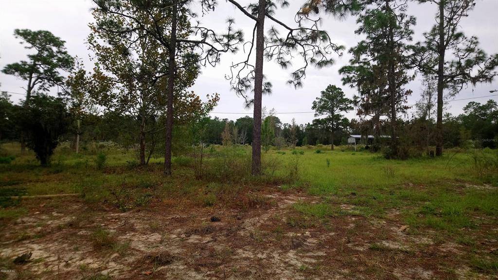 Morriston, FL 32668,11590 SE 35 Street