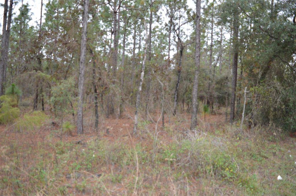 Morriston, FL 32668,00 SE 21 PL