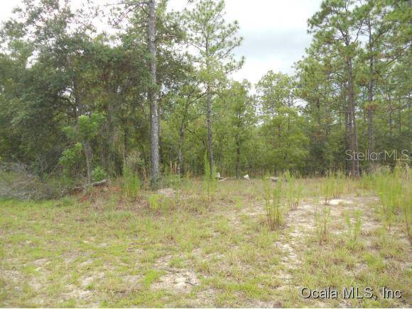 Morriston, FL 32668,2270 SE 148 CT