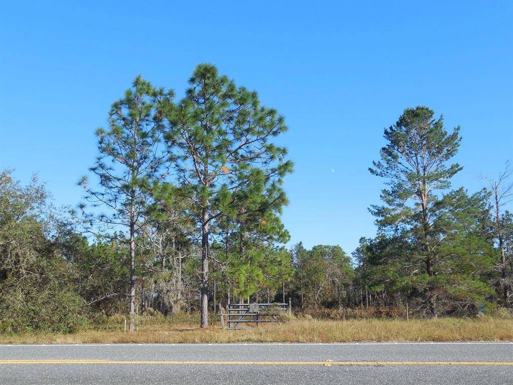 Morriston, FL 32668,TBD SE State Road 121