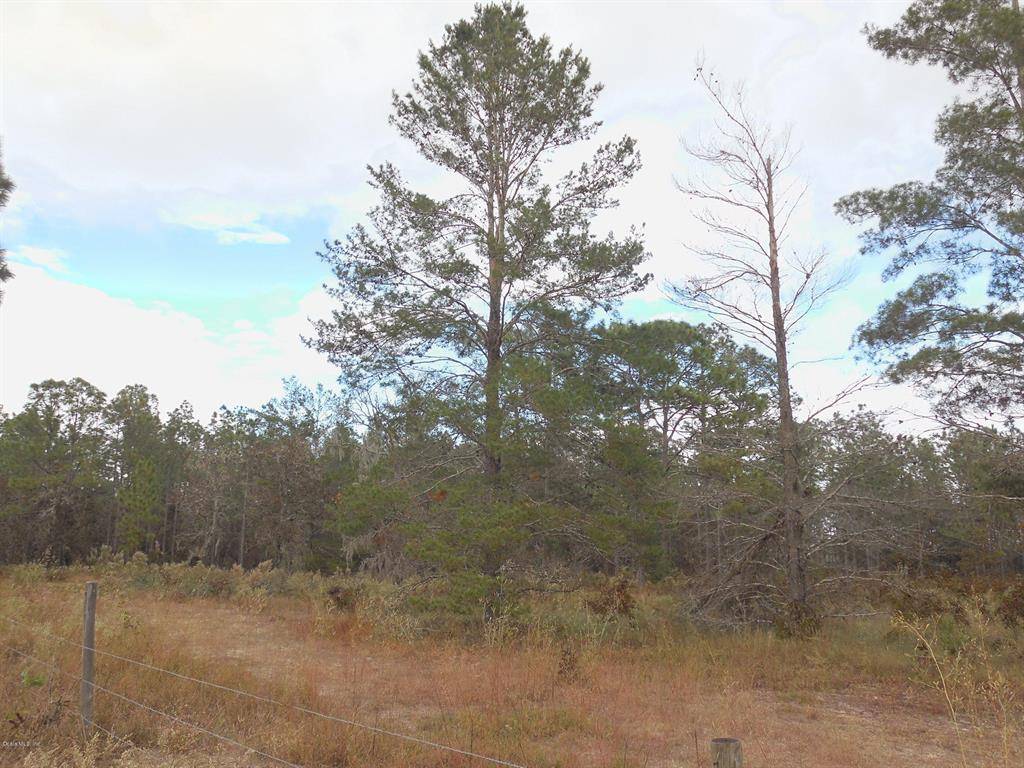 Morriston, FL 32668,TBD SE State Road 121