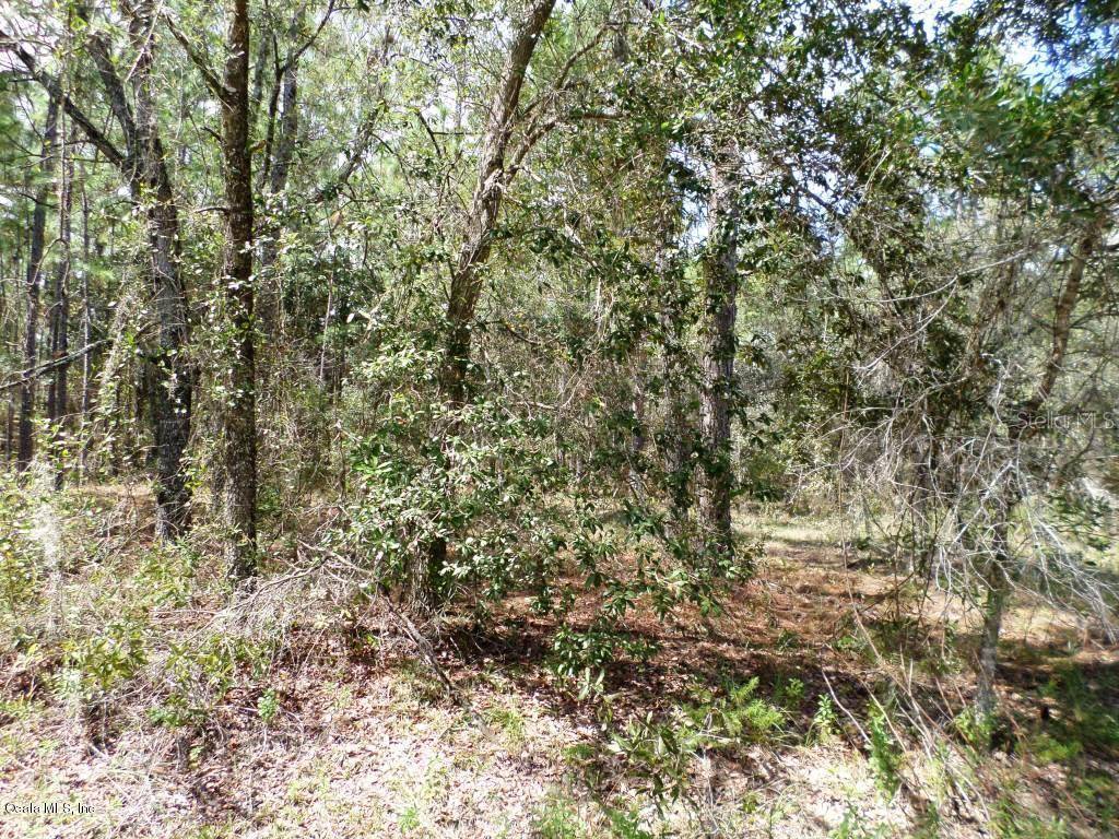 Dunnellon, FL 34431,LOT 12 SW SYLVAN HEIGHTS RD