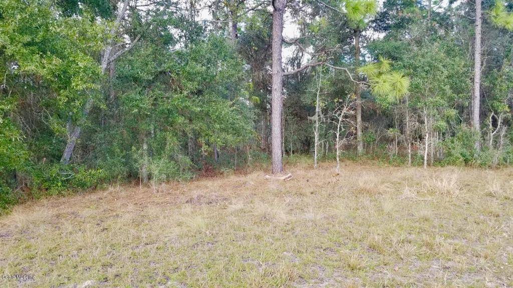 Morriston, FL 32668,TBD NW 80 ST