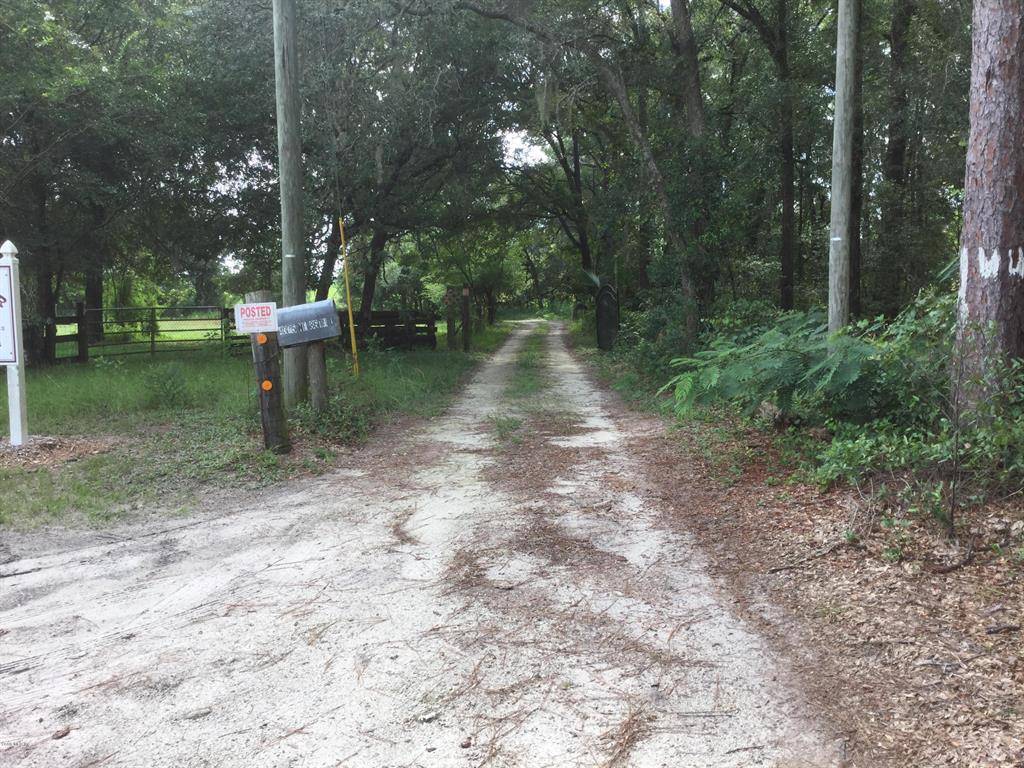 Anthony, FL 32617,4375 NE 86 LN