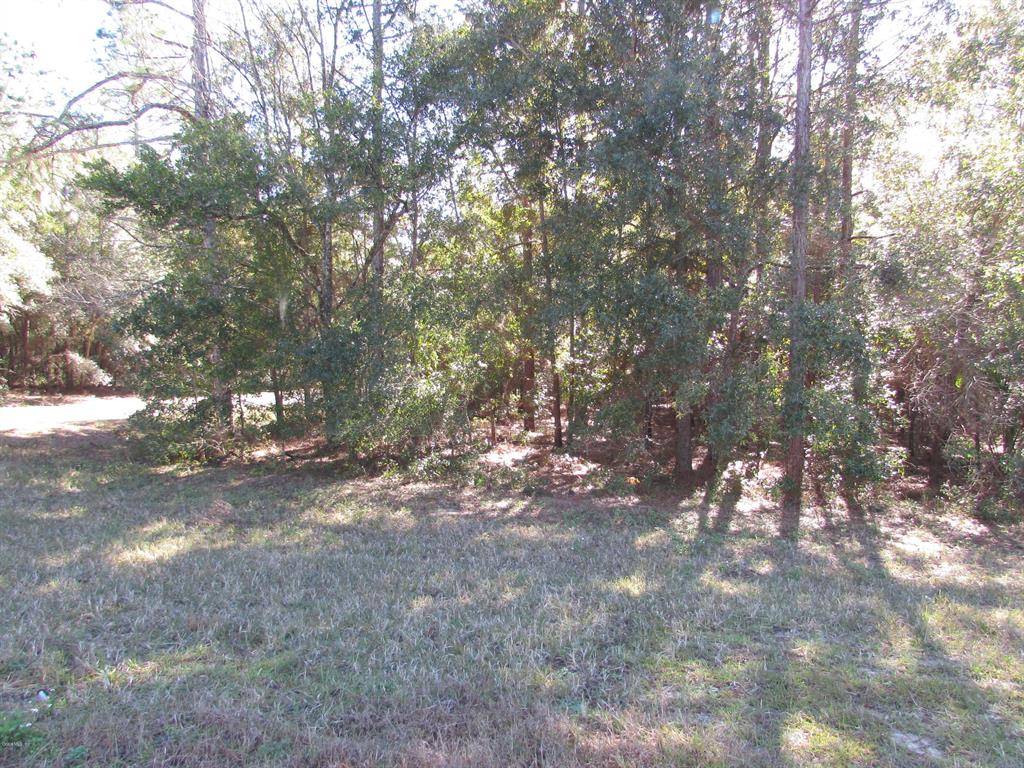 Dunnellon, FL 34431,0 SW 88TH PLACE RD.