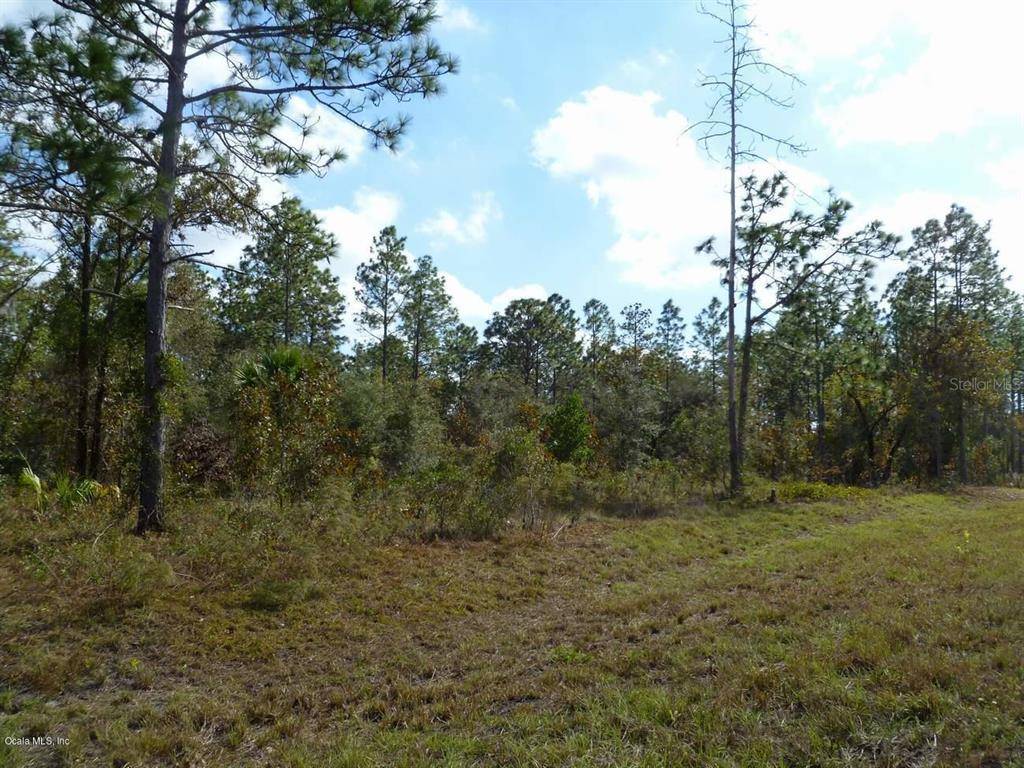 Morriston, FL 32668,TBD SE 123rd TER