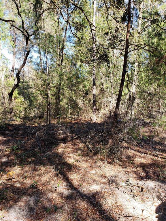 Dunnellon, FL 34432,0 SW 158th LN