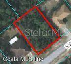 Ocala, FL 34473,0 SW 167 LN