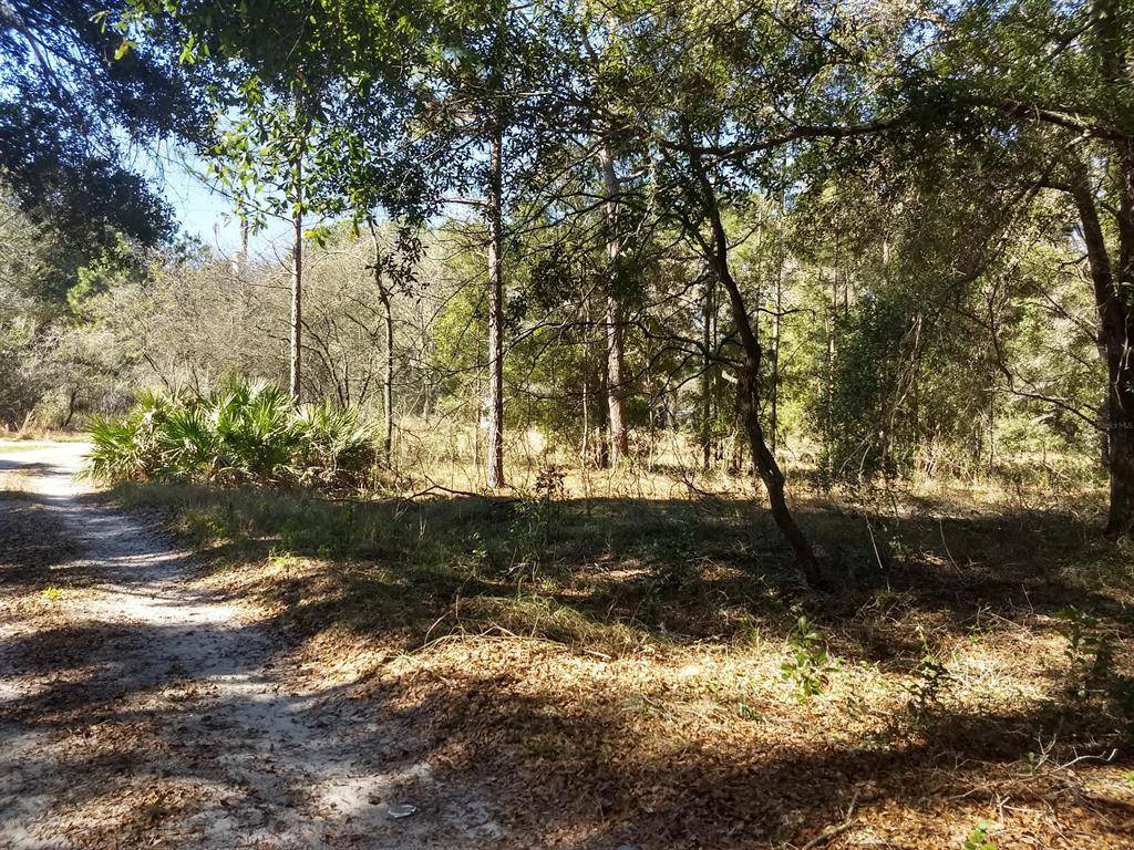 Summerfield, FL 34491,TBD SE 38TH TER