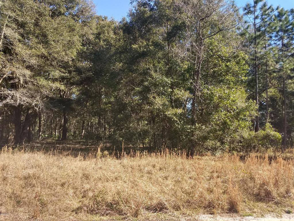 Summerfield, FL 34491,TBD SE 38TH TER