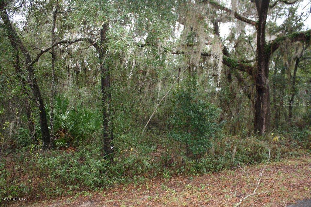 Dunnellon, FL 34431,0 SW Shorewood DR