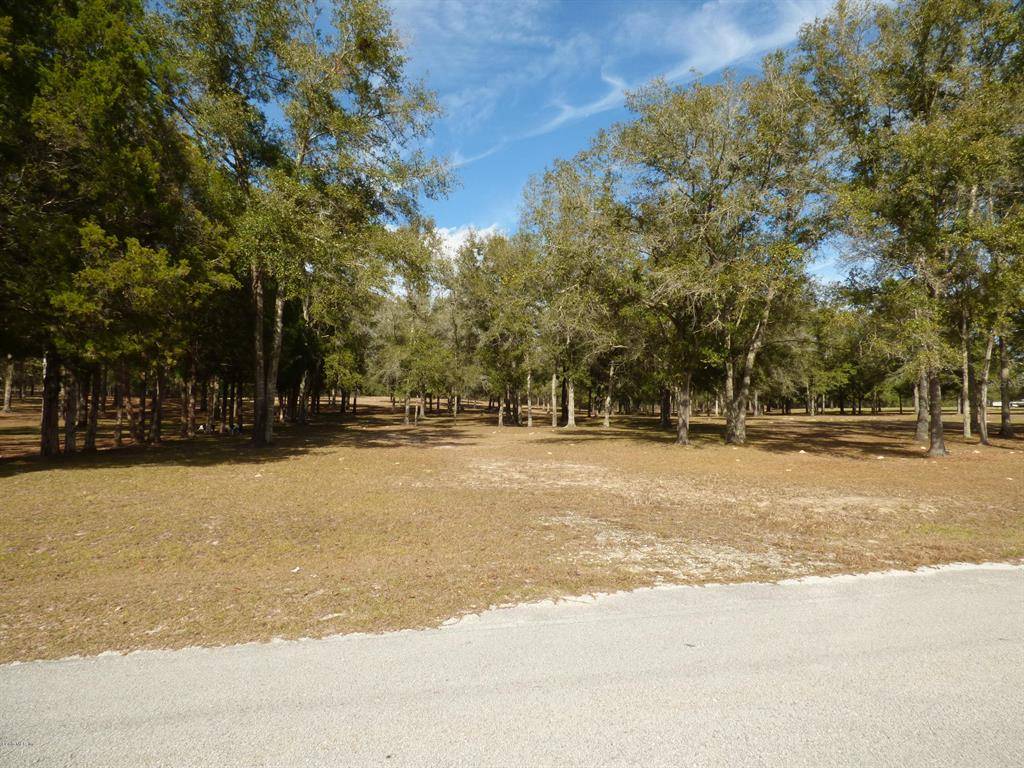 Newberry, FL 32669,000 NE 138 LN