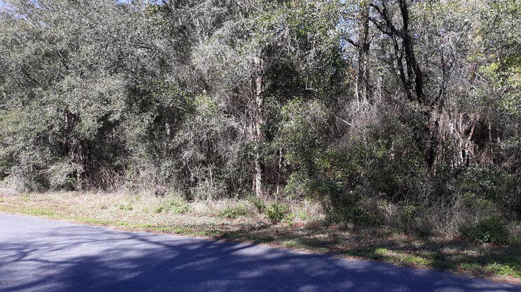 Dunnellon, FL 34431,0 SW 202 AVENUE RD