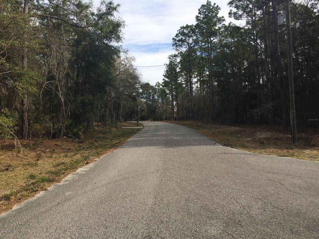 Dunnellon, FL 34432,0 SW 73 LOOP