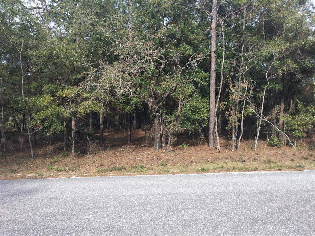 Dunnellon, FL 34432,0 SW 73 LOOP