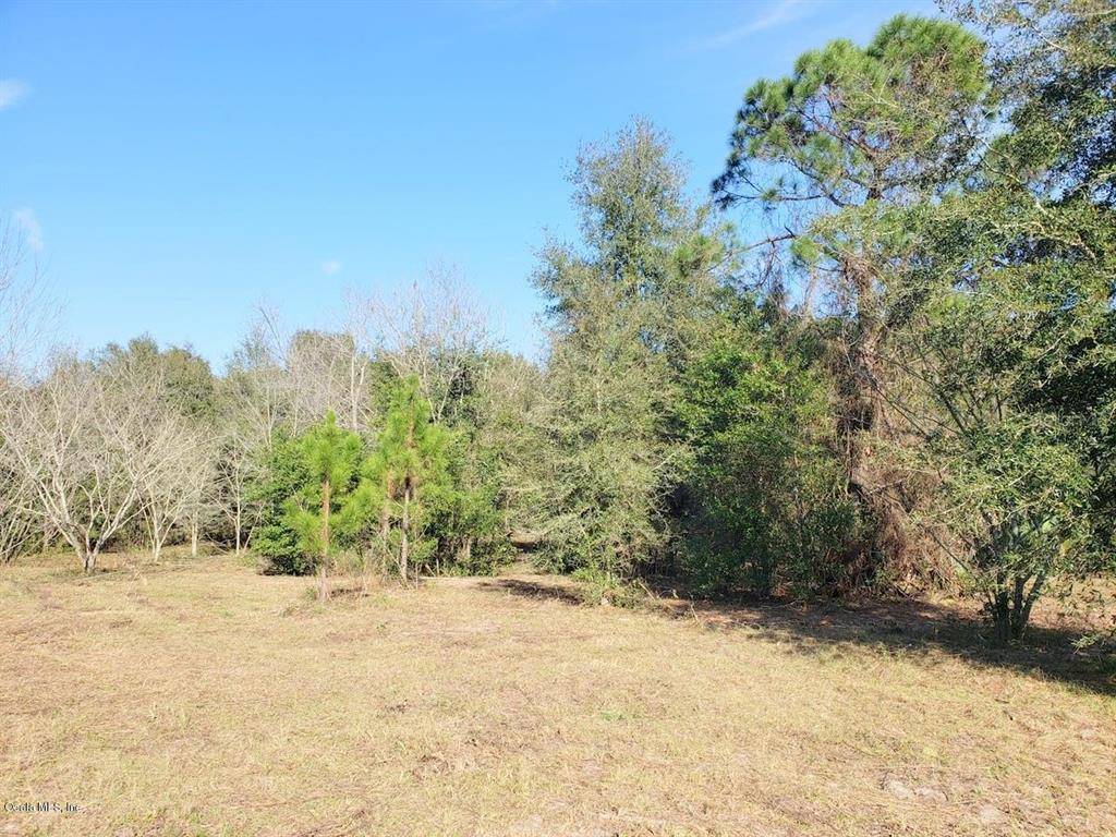 Citra, FL 32113,0.84ac NE 19th Court