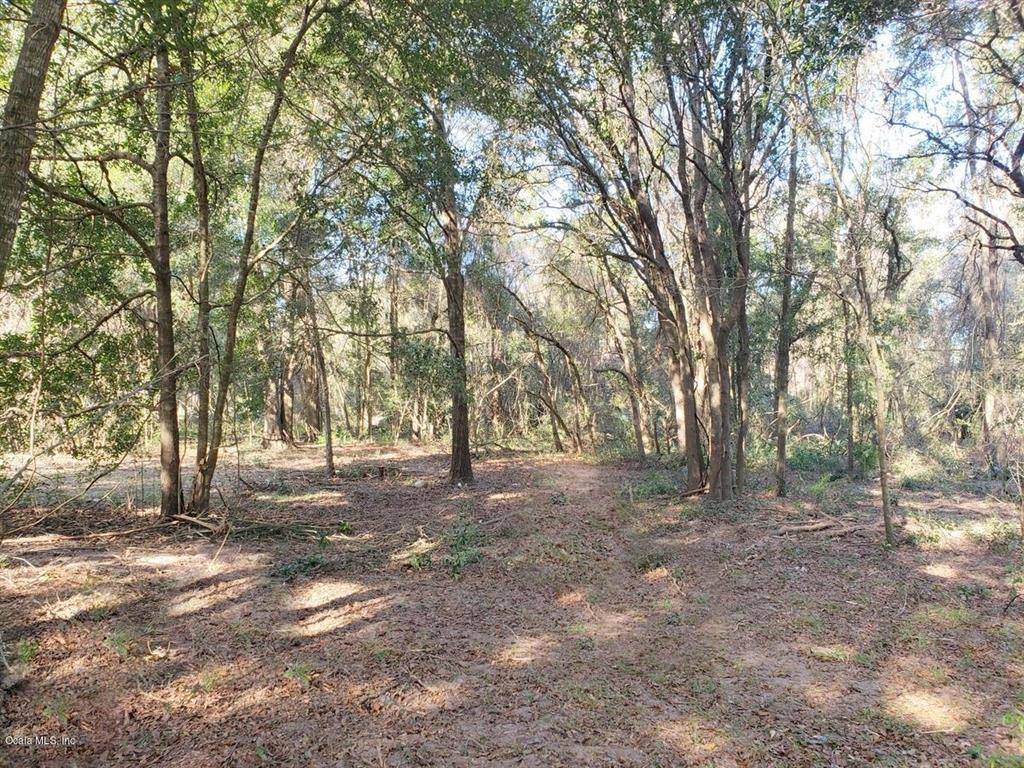 Citra, FL 32113,1.04ac NE 19th Court