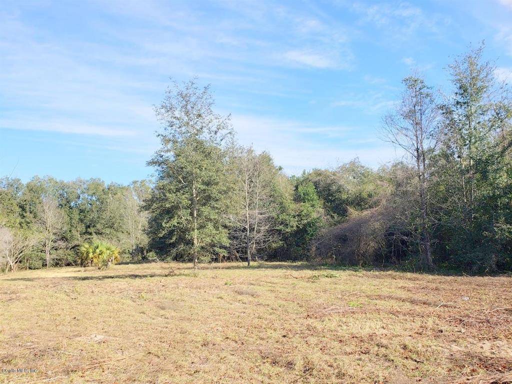 Citra, FL 32113,1.13ac NE 19th Court