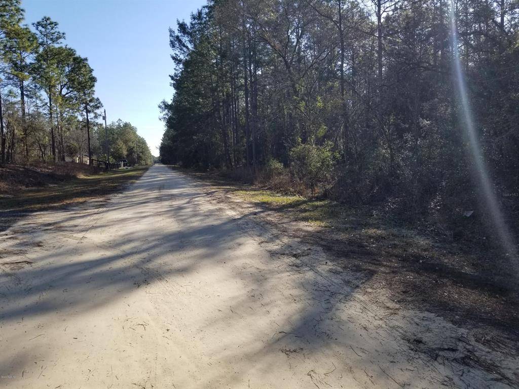 Dunnellon, FL 34432,00 SW 64th LN