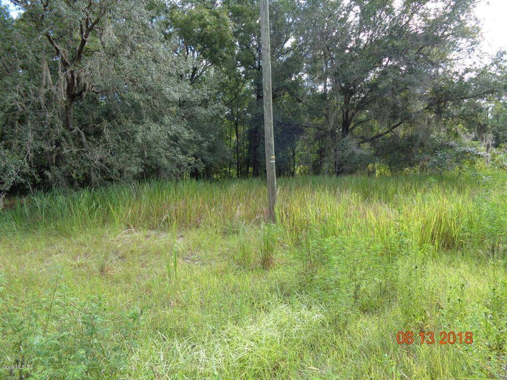 Ocala, FL 34479,0 NE 41St. ST