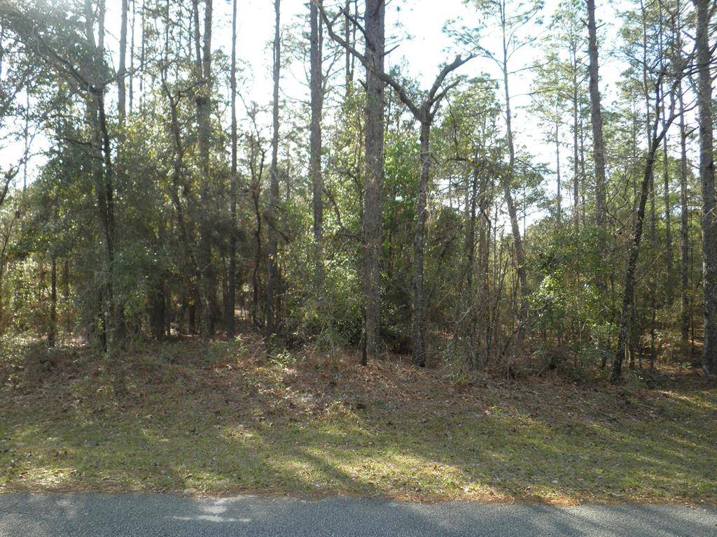 Dunnellon, FL 34432,LOT 8 SW 73RD LOOP