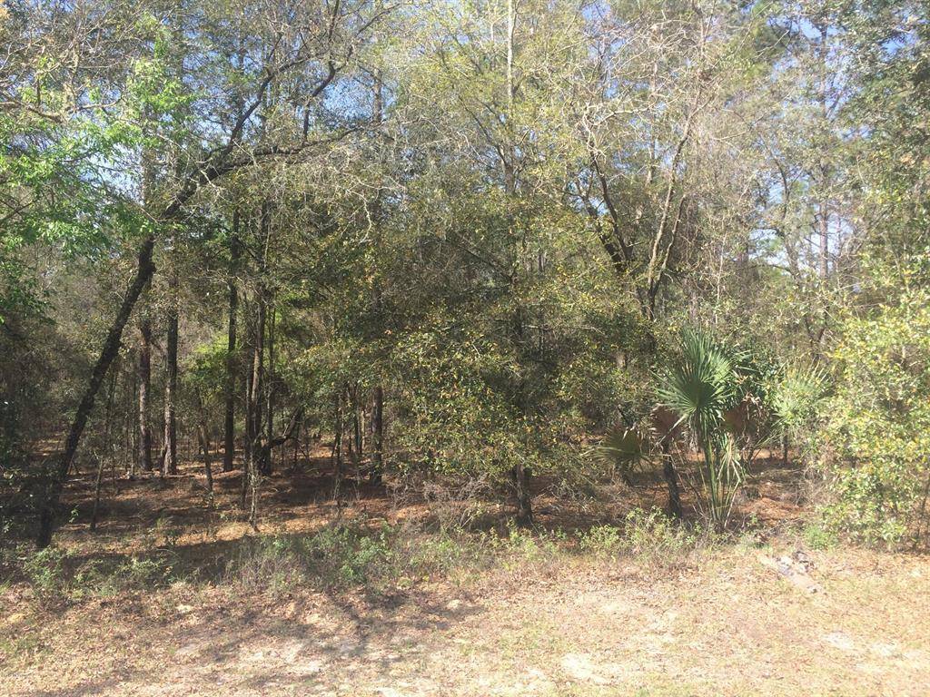 Dunnellon, FL 34432,0 SW 73 LOOP