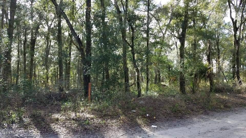 Dunnellon, FL 34432,0 SW 150 ST