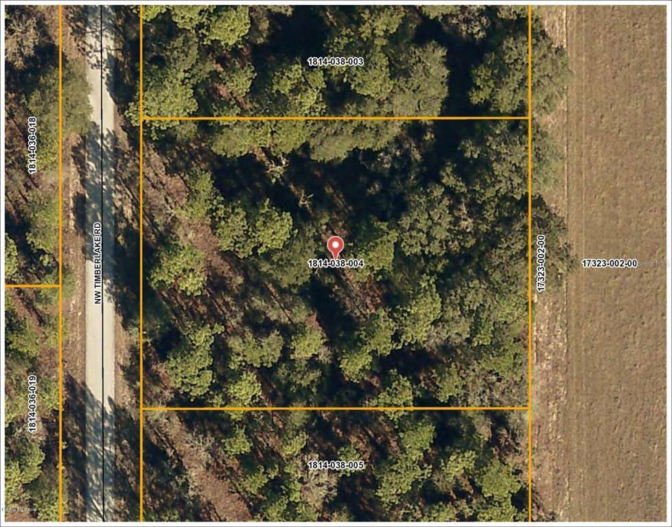 Dunnellon, FL 34431,Lot 4 NW Timberlake RD