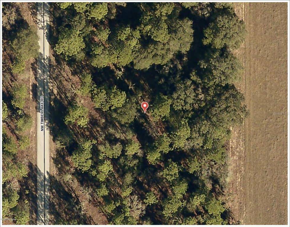 Dunnellon, FL 34431,Lot 4 NW Timberlake RD