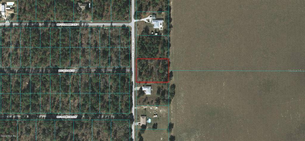 Dunnellon, FL 34431,0 NW Timberlake RD