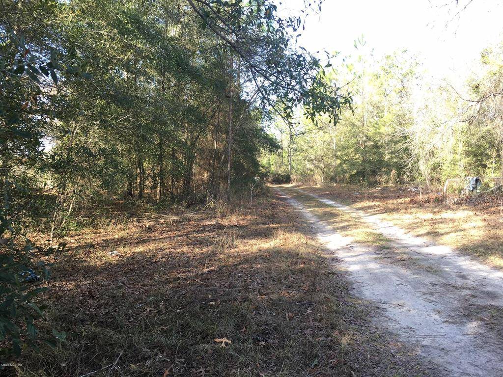 Bronson, FL 32621,TBD NE 67th LN