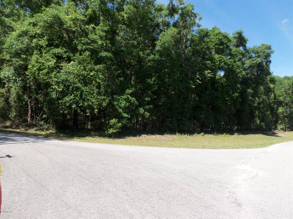 Dunnellon, FL 34432,LOT 1 SW 186 CIR