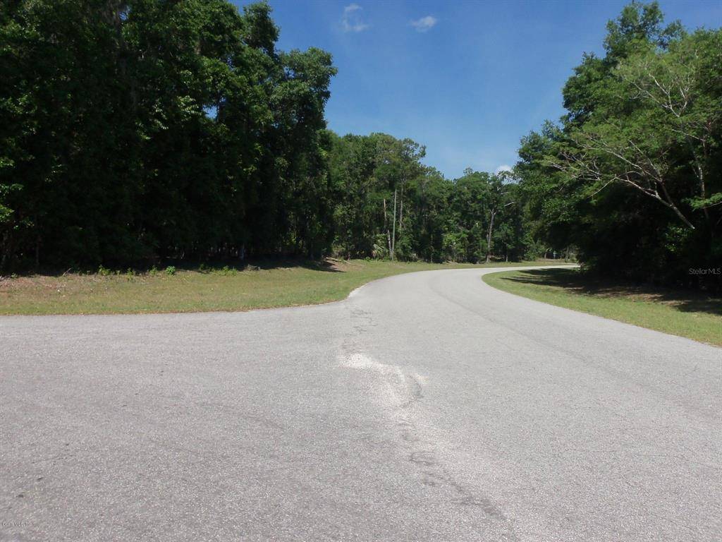 Dunnellon, FL 34432,LOT 1 SW 186 CIR