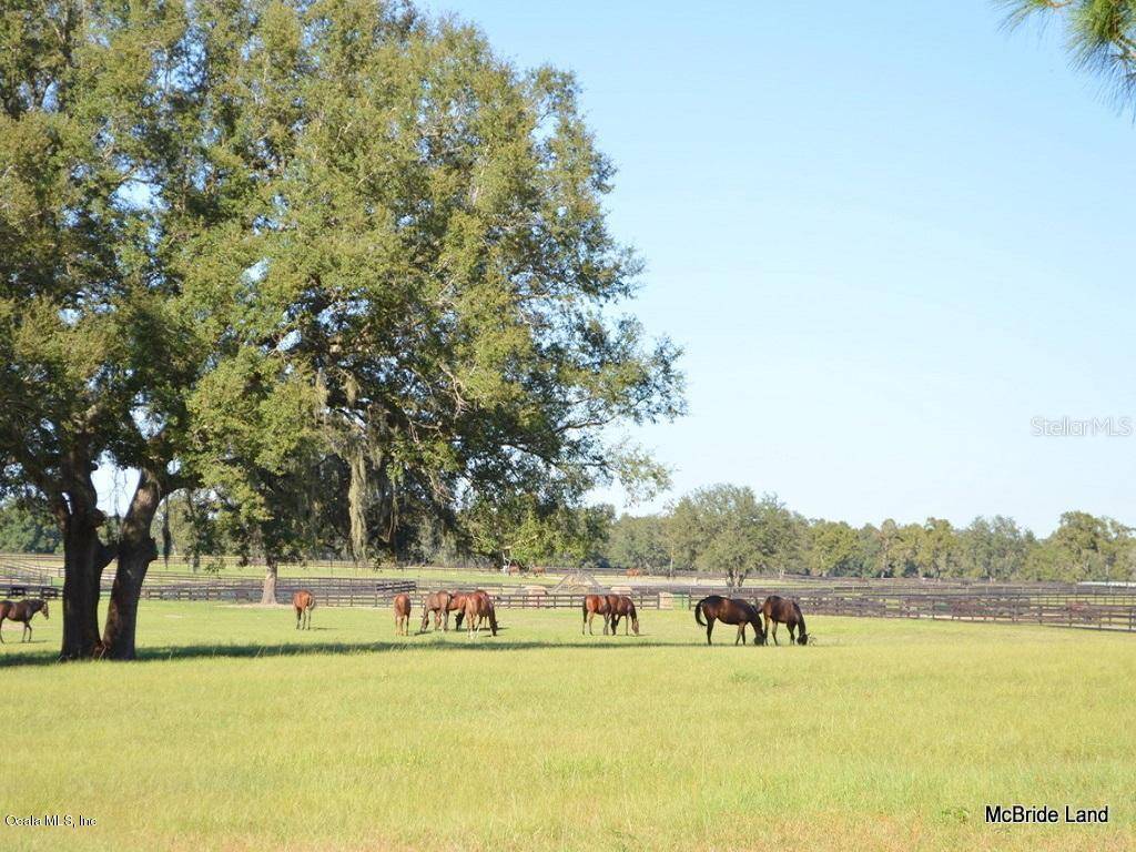 Anthony, FL 32617,Lot 4 NE 111 Lane Road