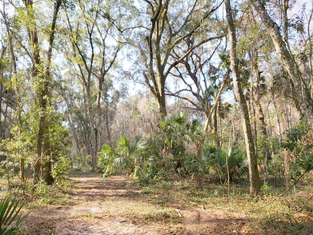 Citra, FL 32113,10.43+/- ac NE 189th Lane