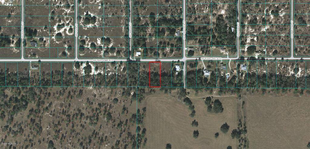 Dunnellon, FL 34431,Lot 3 SW Tiger Lake Blvd