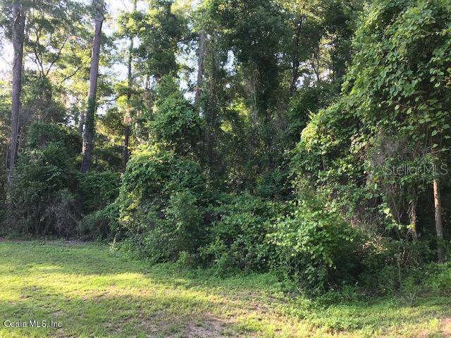 Archer, FL 32618,TBD NE 110TH AVE