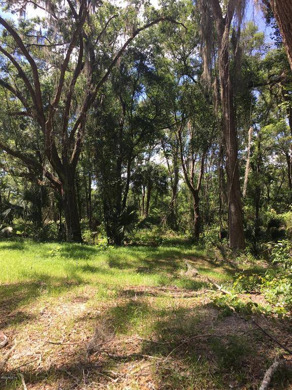 Dunnellon, FL 34434,0 North Athenia DR