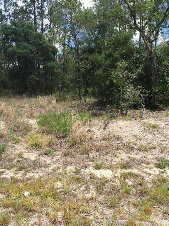 Dunnellon, FL 34431,TBD Rainelle ST