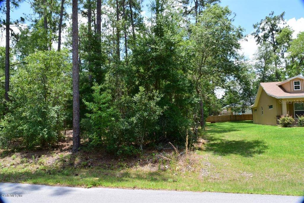 Summerfield, FL 34491,00 SE 161st ST #4