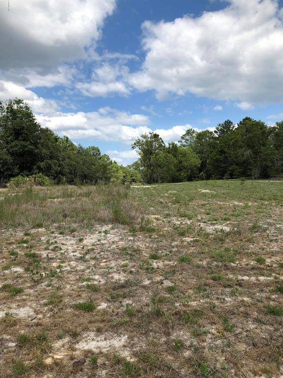 Dunnellon, FL 34431,00 SW Zinnia CT