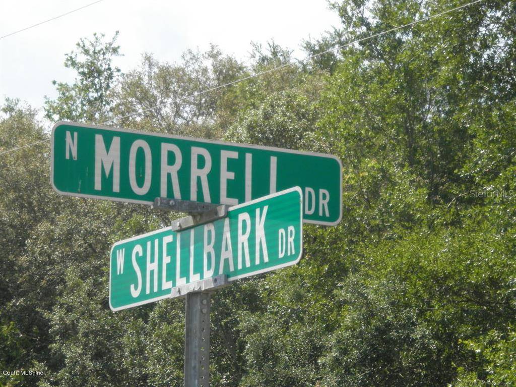 Citrus Springs, FL 34433,11137 N MORRELL DRIVE