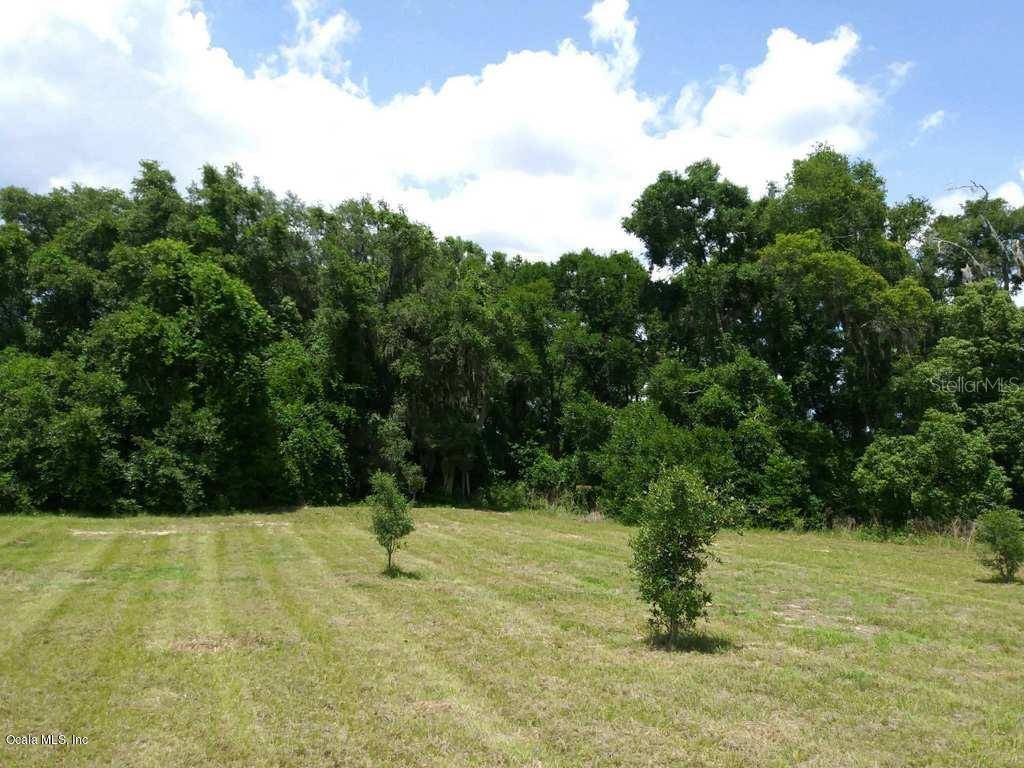 Summerfield, FL 34491,1.6ac SE 63rd TER