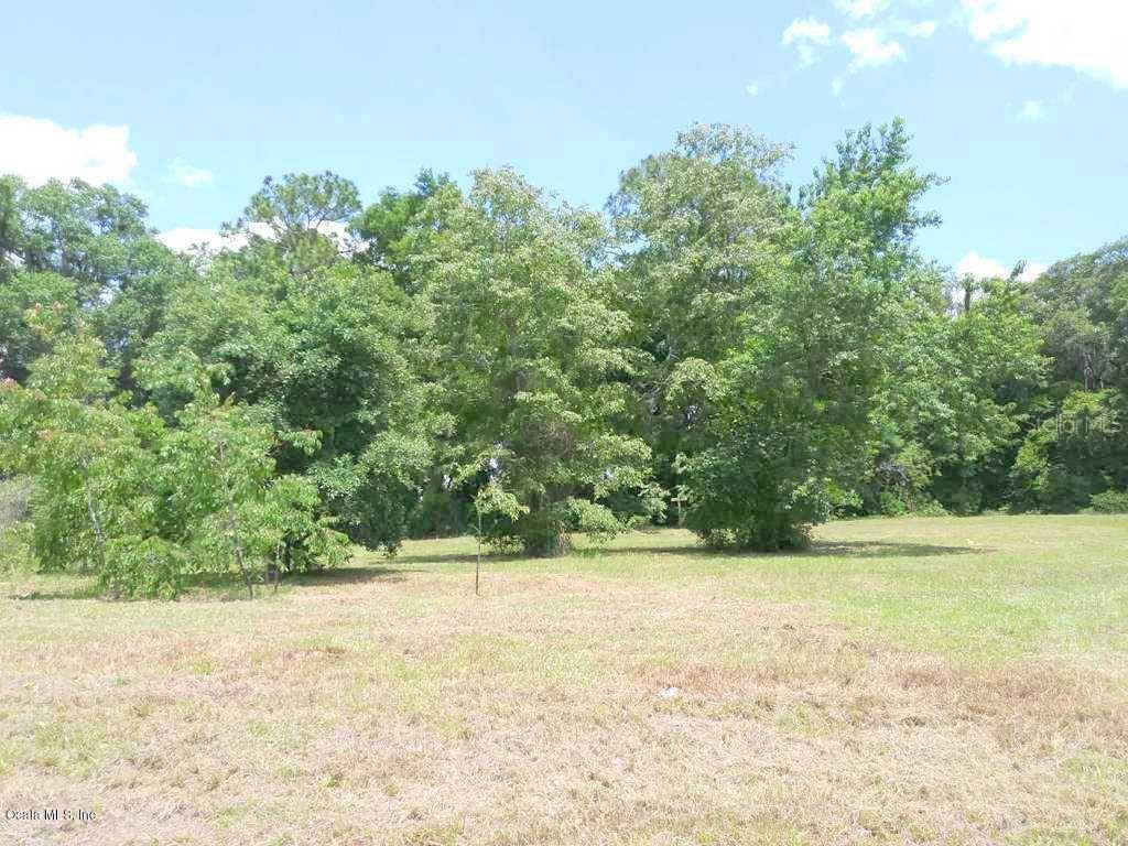 Summerfield, FL 34491,1.6ac SE 63rd TER