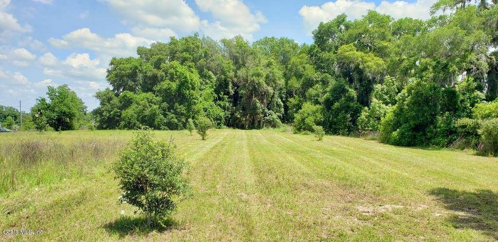 Summerfield, FL 34491,1.6ac SE 63rd TER