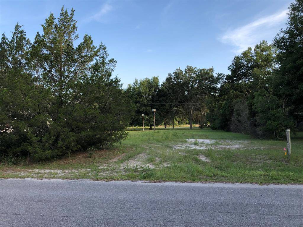 Dunnellon, FL 34432,0 SW 115th LN